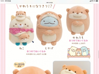 �����������